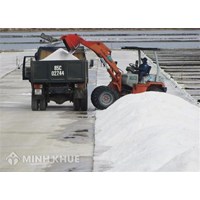 Nội dung kế hoạch triển khai thực hiện Quyết định phê duyệt đề án Phát triển ngành muối giai đoạn 2021-2030