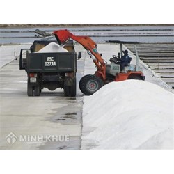 Nội dung kế hoạch triển khai thực hiện Quyết định phê duyệt đề án Phát triển ngành muối giai đoạn 2021-2030