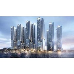 Phát hiện ra tài sản vô chủ hoặc không xác định được chủ sở hữu là bất động sản thì sẽ thuộc về ai?