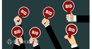 Những điều cần biết về kiểm tra kết quả tập sự hành nghề đấu giá 
