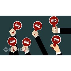 Những điều cần biết về kiểm tra kết quả tập sự hành nghề đấu giá 