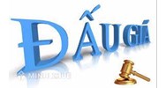 Trình tự thực hiện cuộc đấu giá bằng hình thức đấu giá trực tuyến như thế nào?