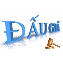 Trình tự thực hiện cuộc đấu giá bằng hình thức đấu giá trực tuyến như thế nào?