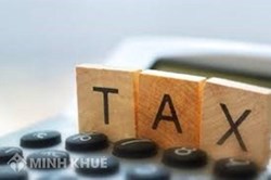 Welche Strafen drohen bei Verstößen gegen die Steuerregistrierungsfrist?