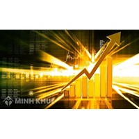 Xử phạt vi phạm hành chính về kinh doanh chứng khoán và hành nghề chứng khoán tại Việt Nam