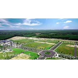 Quy định pháp luật về quản lý, vận hành nghĩa trang, cơ sở hỏa táng