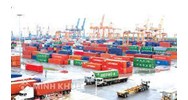 Trách nhiệm bồi thường thiệt hại trong trường hợp chứng thư giám định có kết quả sai