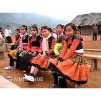 Quyền của người thiểu số trong pháp luật Việt Nam