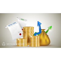 Căn cứ xếp loại hoạt động Quỹ đầu tư phát triển địa phương là gì?