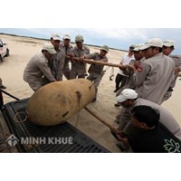 Cấp chứng chỉ điều tra, khảo sát, rà phá bom mìn vật nổ