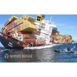 Sự hình thành của tổ chức Hàng Hải Quốc Tế (IMO)? Các Công ước quốc tế về hàng hải mà Việt Nam là thành viên?