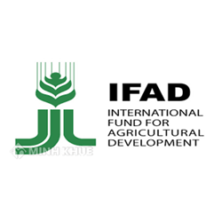 Quỹ Phát triển nông nghiệp quốc tế (IFAD) là gì?