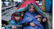 Cao uỷ Liên hợp quốc về Người tị nạn (UNHCR) là gì?