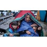 Cao uỷ Liên hợp quốc về Người tị nạn (UNHCR) là gì?