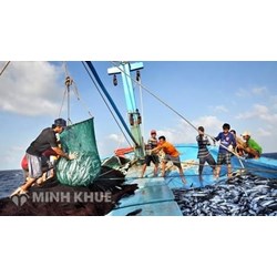 Xử phạt vi phạm hành chính và biện pháp khắc phục hậu quả về quy định khai thác thủy sản