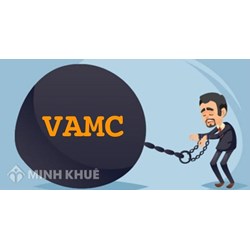 VAMC là gì? Cơ cấu và hoạt động của AVMC?