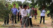 Một số quy định về cưỡng chế kê biên tài sản