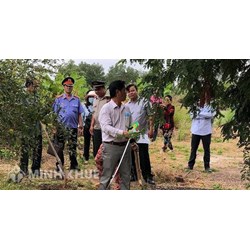 Một số quy định về cưỡng chế kê biên tài sản