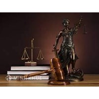 Tổng hợp các án lệ Dân sự của Việt Nam hiện nay