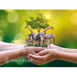 Công ước về buôn bán quốc tế các loài động, thực vật hoang dã nguy cấp (CITES)