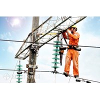 Quy định pháp luật về bảo vệ an toàn đường dây dẫn điện trên không