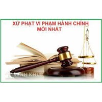 Thủ tục xử phạt, thi hành quyết định xử phạt và cưỡng chế thi hành quyết định xử phạt
