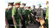 Nhiệm vụ, giải pháp về phòng, chống tội phạm trong tình hình mới, chiến lược quốc gia phòng, chống tội phạm giai đoạn 2016-2025, định hướng đến năm 2030