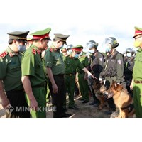 Nhiệm vụ, giải pháp về phòng, chống tội phạm trong tình hình mới, chiến lược quốc gia phòng, chống tội phạm giai đoạn 2016-2025, định hướng đến năm 2030