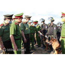 Nhiệm vụ, giải pháp về phòng, chống tội phạm trong tình hình mới, chiến lược quốc gia phòng, chống tội phạm giai đoạn 2016-2025, định hướng đến năm 2030
