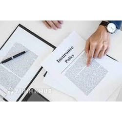 Hợp đồng bảo hiểm bị vô hiệu trong những trường hợp nào?