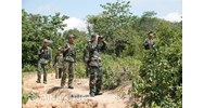 Thế nào là tổ chức, môi giới cho người khác trốn đi nước ngoài?