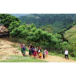 Quy trình đưa tiếng dân tộc thiểu số vào dạy học trong các cơ sở giáo dục phổ thông và trung tâm giáo dục thường xuyên