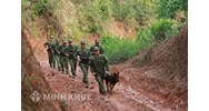 Lực lượng biên phòng là gì? Vị trí, chức năng, nhiệm vụ, quyền hạn của Bộ đội Biên phòng?
