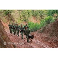 Lực lượng biên phòng là gì? Vị trí, chức năng, nhiệm vụ, quyền hạn của Bộ đội Biên phòng?
