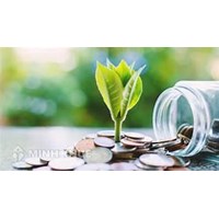 Điều kiện kinh doanh cầm đồ theo quy định luật đầu tư 2020
