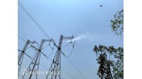 Thông tin đăng ký đấu nối vào lưới điện phân phối gồm những gì?