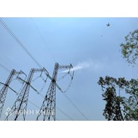 Thông tin đăng ký đấu nối vào lưới điện phân phối gồm những gì?