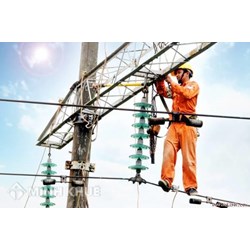 Mẫu biên bản kiểm tra hoạt động điện lực và kiểm tra sử dụng điện