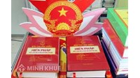Việc nghiêm cấm phân biệt đối xử và điều khoản về các biện pháp đặc biệt trong Hiến pháp