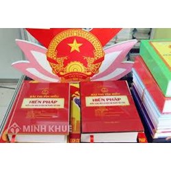 Việc nghiêm cấm phân biệt đối xử và điều khoản về các biện pháp đặc biệt trong Hiến pháp