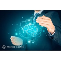 Xác nhập quyền sở hữu theo thời hiệu quy định như thế nào ?