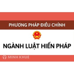 Các phương án thiết kế nhánh hành pháp trong Hiến pháp