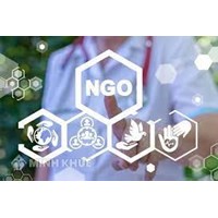 Vốn viện trợ của các tổ chức phi chính phủ là gì? Nguyên tắc tiếp nhận viện trợ của các tổ chức phi chính phủ?