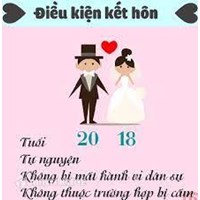 Con đẻ và con nuôi có được phép kết hôn với nhau không?