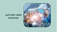Quy định trích lập Quỹ phát triển khoa học và công nghệ của doanh nghiệp 2026