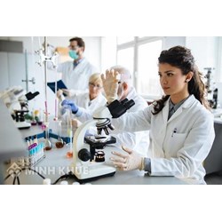 Quy trình đánh giá kết quả thực hiện nhiệm vụ khoa học công nghệ không sử dụng ngân sách nhà nước