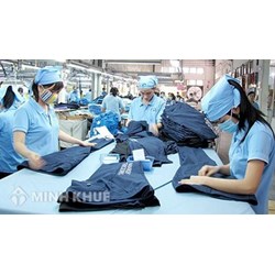 Tính chất và chức năng của tổ chức Công đoàn Việt Nam