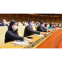 Những vấn đề liên quan đến hoạt động ban hành nghị quyết của Quốc hội