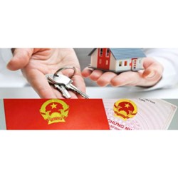 Như thế nào là sử dụng đất ổn định? Căn cứ xác định đất sử dụng ổn định