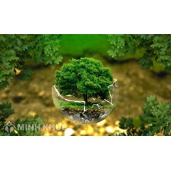 Đối tượng lập phương án cải tạo, phục hồi môi trường trong khai thác khoáng sản